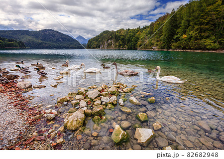 Lake Alpsee 82682948