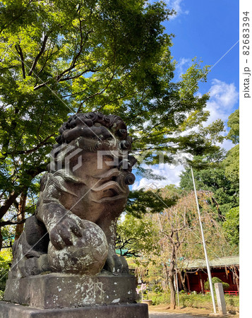 出世の神社 東京渋谷・代々木八幡宮の秋 出世の神社 東京渋谷・代々木八幡宮の秋 82683394
