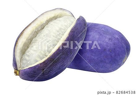 Akebi Akebi Illustration Real Set - Stock Illustration [82684538