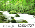初夏の青森県、美しい深緑に包まれた奥入瀬渓流の清らかな流れ 82684727