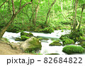 初夏の青森県、美しい深緑に包まれた奥入瀬渓流の清らかな流れ 82684822