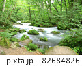 初夏の青森県、美しい深緑に包まれた奥入瀬渓流の清らかな流れ 82684826