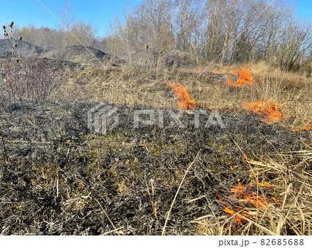 Dry grass field Fire disaster close up Dry grass field Fire disaster close up 82685688