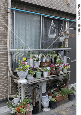 縁側の植木鉢の小さな花壇 縁側の植木鉢の小さな花壇 82685790