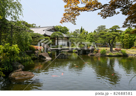 兵庫県 姫路市 初夏 姫路城西御屋敷跡庭園 好古園 兵庫県 姫路市 初夏 姫路城西御屋敷跡庭園 好古園 82688581