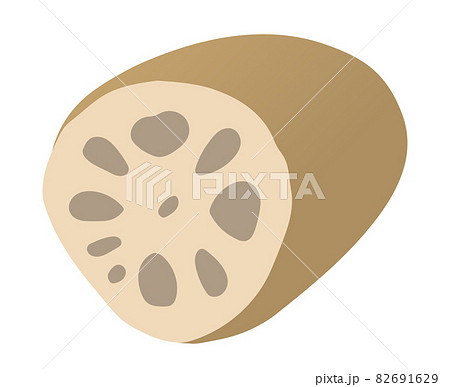 れんこんのイラスト素材