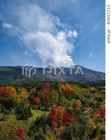 望岳台の紅葉と噴煙  82697213