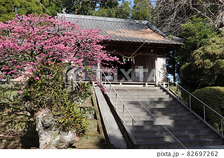 錦江町　旗山神社 82697262