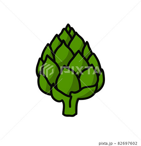 artichoke doodle icon, vector color line illustration artichoke doodle icon, vector color line illustration 82697602
