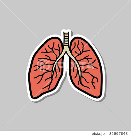 lungs doodle sticker icon, vector color line illustration lungs doodle sticker icon, vector color line illustration 82697848