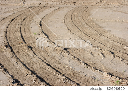 Trails Trails 82698690