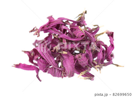 Dried Echinacea flowers, isolated on white background. Petals of Echinacea purpurea. Medicinal herbs. Dried Echinacea flowers, isolated on white background. Petals of Echinacea purpurea. Medicinal herbs. 82699650