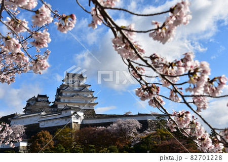 日本の兵庫県の姫路市　世界遺産で国宝でもある姫路城　春の桜と青空と立派な天守閣 82701228