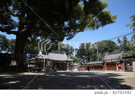 許麻神社の御神木 82702492
