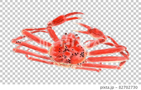Hand-painted watercolor of snow crab (male) 82702730