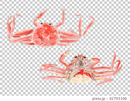 雪蟹手繪水彩（女） 82703106