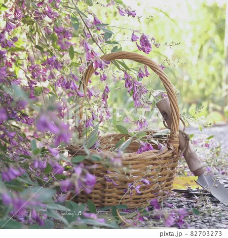バスケットカゴと園芸用具の萩花 *正方形構図 バスケットカゴと園芸用具の萩花 *正方形構図 82703273