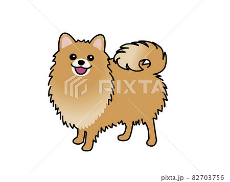 Pomeranian Stock Illustration