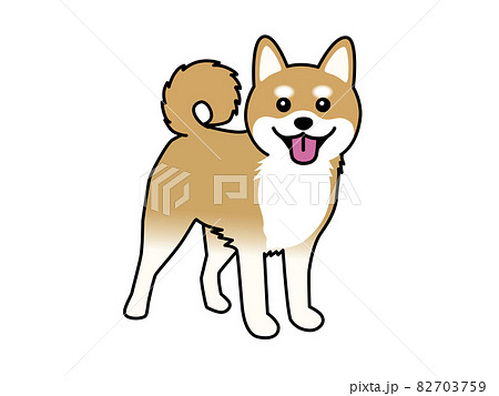 柴犬のイラスト素材