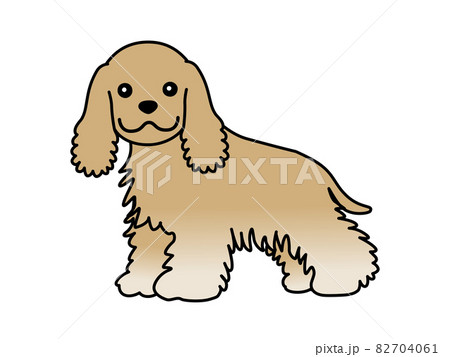 コッカースパニエル 82704061