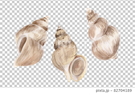 Etchubai 手繪水彩 Etchubai 手繪水彩 82704189