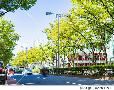 東京 表参道 東京 表参道 82704191