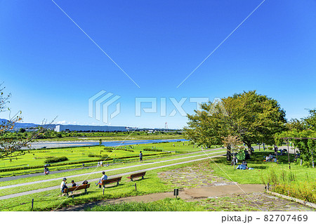 【神奈川県】綺麗な緑の芝生が広がる海老名の相模三川公園 【神奈川県】綺麗な緑の芝生が広がる海老名の相模三川公園 82707469