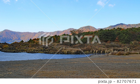 湖畔の景色~本栖湖 湖畔の景色~本栖湖 82707671