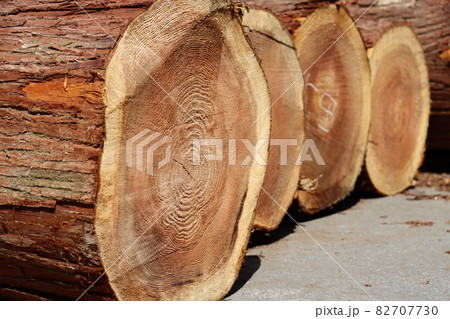 並べられたたくさんの丸太材 並べられたたくさんの丸太材 82707730