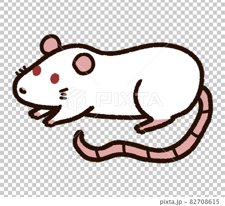 かわいいラットのキャラクター 白のイラスト素材