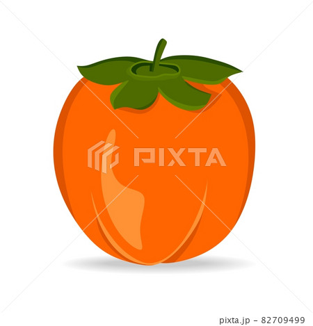 Persimmon, vector illustration isolated on a white background. A concept for stickers, posters, postcards, websites 82709499