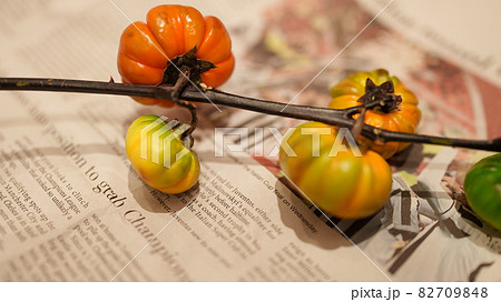 英字新聞の上で撮影された花ナスのソラナム（鮮やか） 82709848