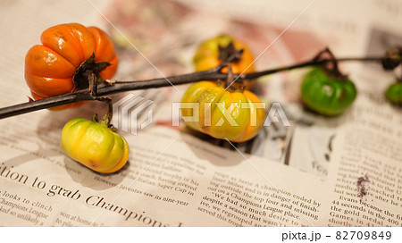 英字新聞の上に飾られた花ナスのソラナム（左横から撮影） 82709849