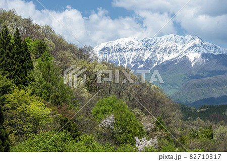 冠雪・新緑の大山（蒜山高原から） 82710317