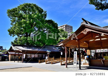 佐賀市　佐嘉神社 82710891