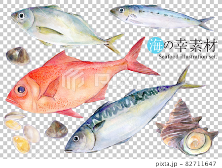 魚介類　セットイラスト　水彩 82711647