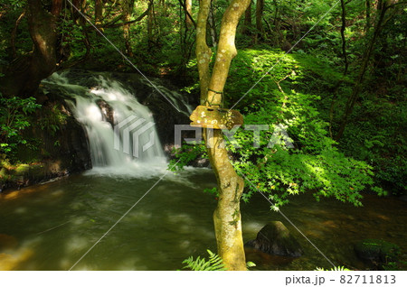 七つ滝　石川県能美市 82711813