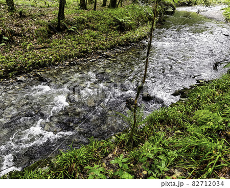 River Lyd - Lydford Gorge, Dartmoor National Park, Devon, United Kingdom River Lyd - Lydford Gorge, Dartmoor National Park, Devon, United Kingdom 82712034