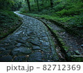 大山寺の石畳です。 82712369