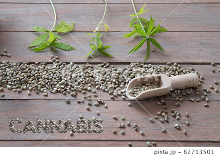 The inscription cannabis from cannabis seeds and seeds scattered on the table and lying cannabis plants.Horizontal orientation The inscription cannabis from cannabis seeds and seeds scattered on the table and lying cannabis plants.Horizontal orientation 82713501