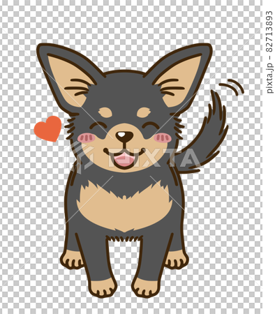 懐くチワワ（ブラックタン） 82713893