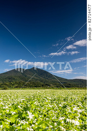 筑波山の秋　満開の蕎麦畑 82714477