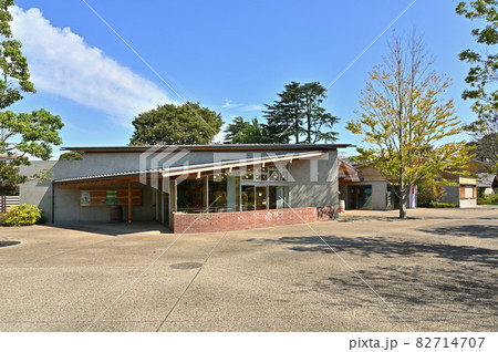 野田市散歩:清水公園 野田市散歩:清水公園 82714707