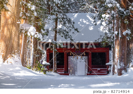 A row of Cedar Trees at Togakushi Shrine gate in winter located in Nagano, Japan A row of Cedar Trees at Togakushi Shrine gate in winter located in Nagano, Japan 82714914