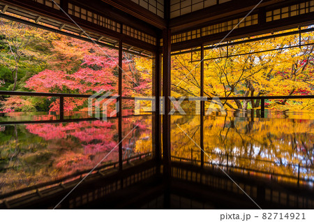 Tranquil scene of Autumn trees in Japanese - Stock Photo