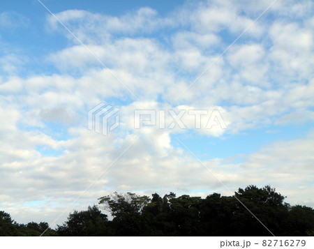 秋の三陽メデアフラワーミュージアムの青い空と白い雲 秋の三陽メデアフラワーミュージアムの青い空と白い雲 82716279