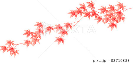 紅葉の枝 82716383