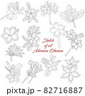 Sketch of set Adenium Obesum flower on white background 82716887