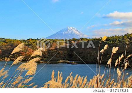 精進湖から望む富士山 82717381