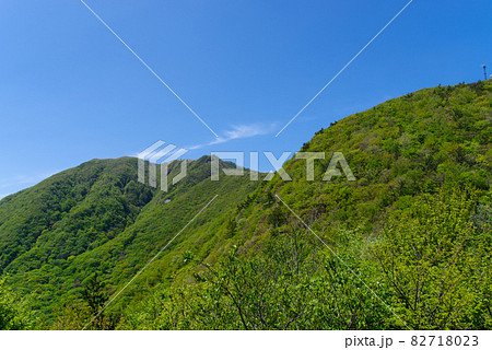 三瓶山　大平山からの景色（2021年5月） 82718023